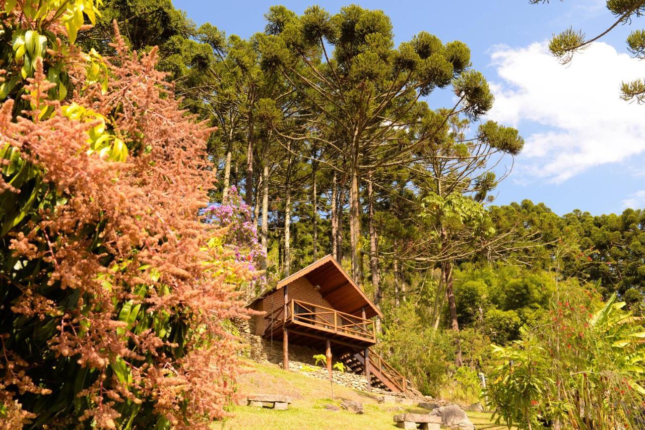 Вилла Chales Araucaria E Manaca Сан-Бенту-ду-Сапукаи Экстерьер фото