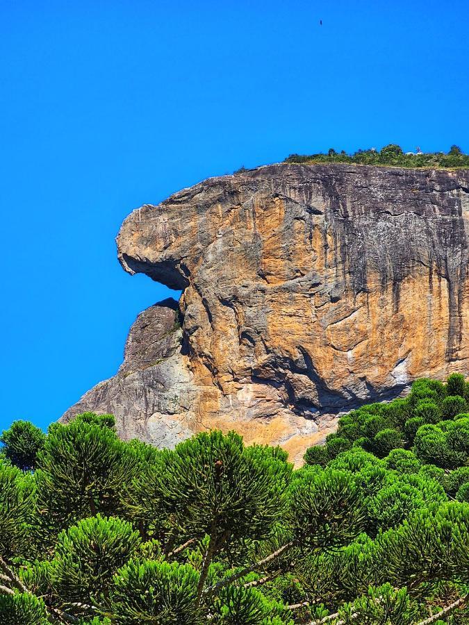 Вилла Chales Araucaria E Manaca Сан-Бенту-ду-Сапукаи Экстерьер фото