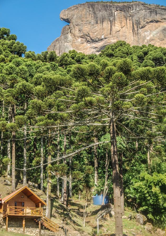 Вилла Chales Araucaria E Manaca Сан-Бенту-ду-Сапукаи Экстерьер фото